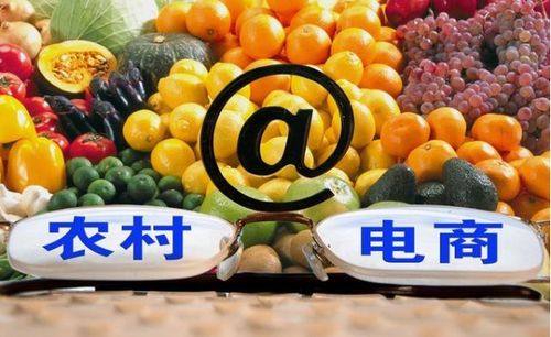 江苏中理网络科技视角 新零售赋能农产品零售的未来业态与适用行业前瞻