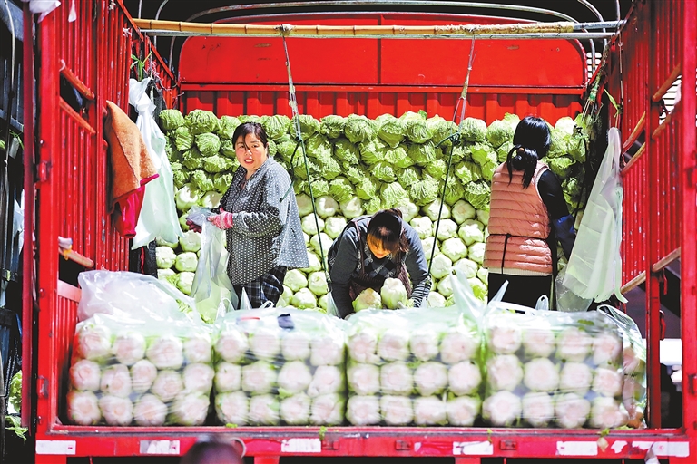 菜价走高 多措并举稳住百姓“菜篮子”