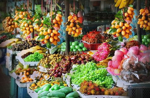 妻子的善意谎言 每周回娘家的真相